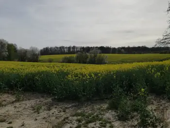 Les Lacs de l'eau d'Heure, Froidchapelle (België)